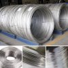 Dây Inox 4.8mm